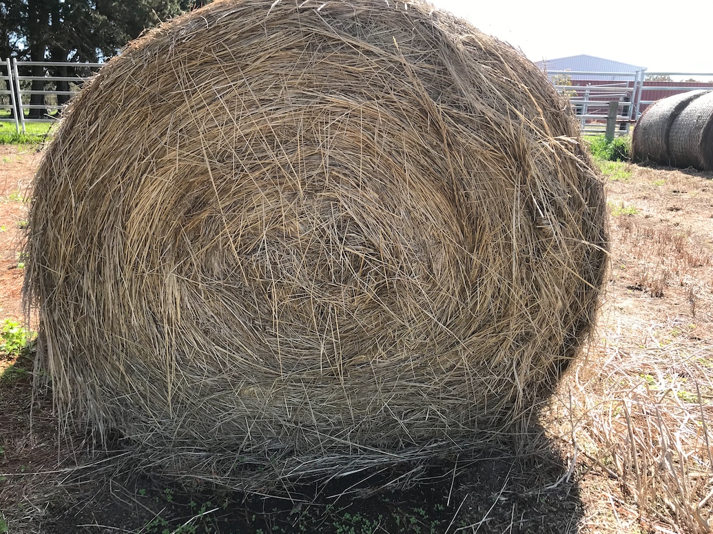 25 x Grass/Clover Hay 5x4 Round Bales Hay & Fodder Pasture